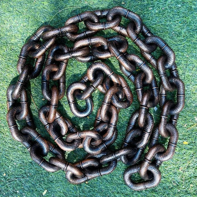 BarkBling - Grappige grote hondenriem