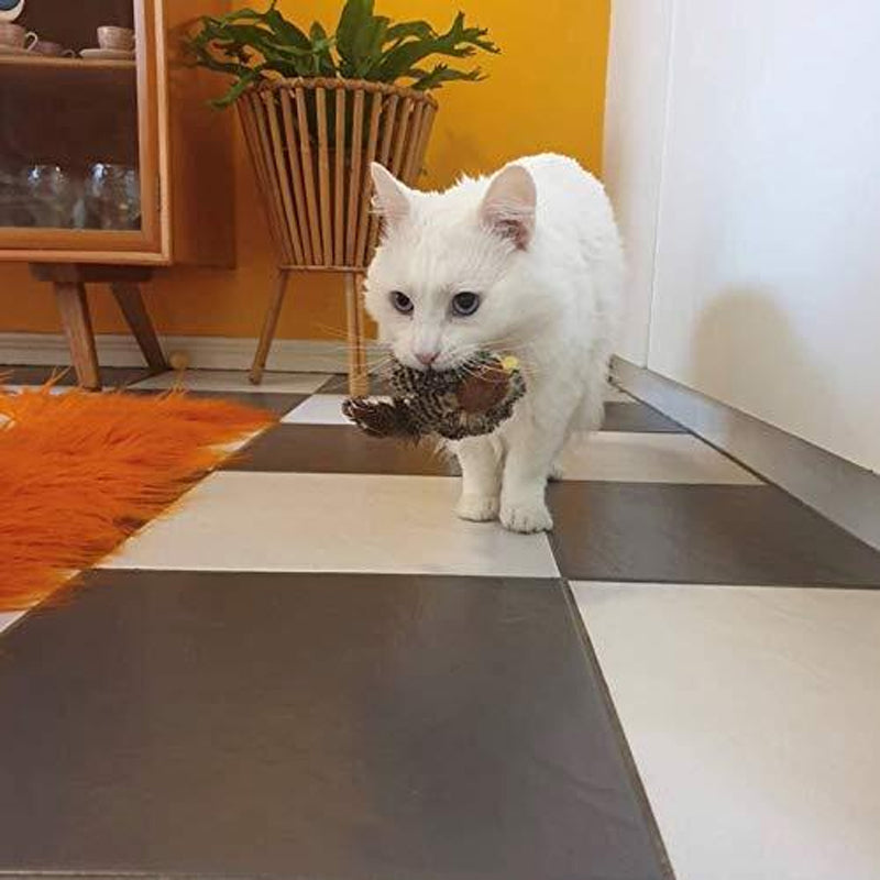 BirdyPurr - De veilige speelkameraad voor uw kat!
