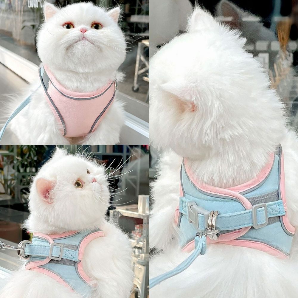 Ontsnap-Veilige Kat Harnas en Leash Set – Verstelbaar, Comfortabel, Ademend Stof voor Veilige Buitenavonturen