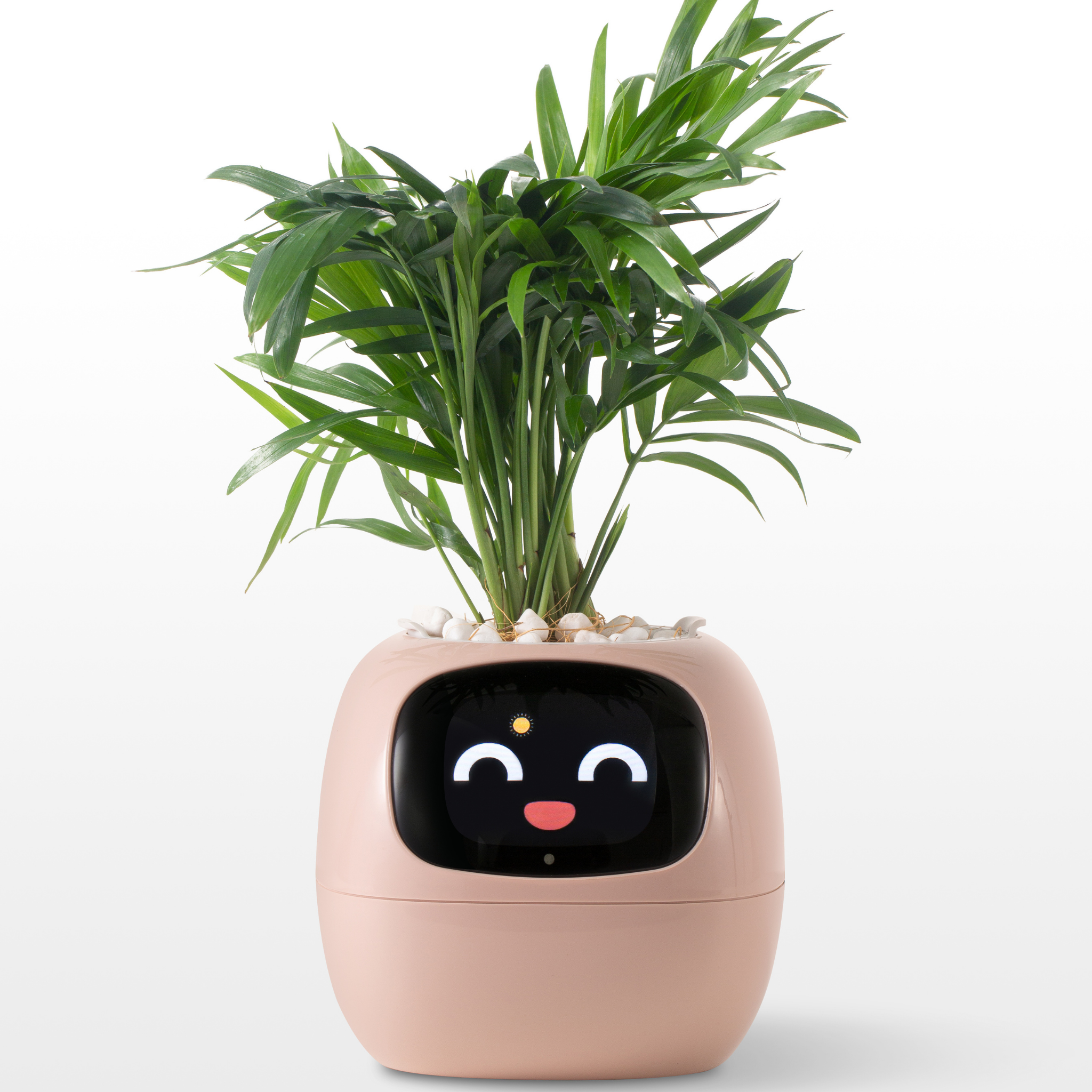 EmojiPlant | Creatieve Emoji Bloempot