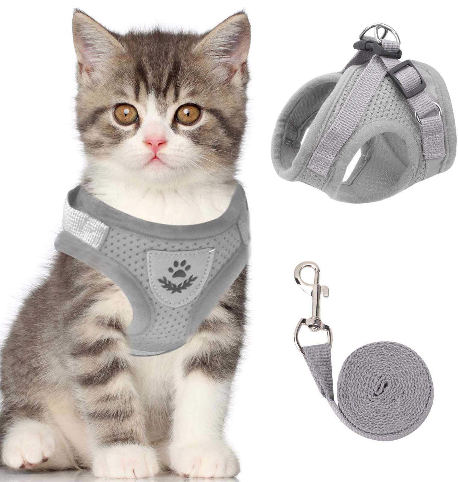Reflecterende Kat Harnas en Leash Set met Verstelbare Bandjes voor Veilige Nachtavonturen – Comfortabele Pasvorm voor Katten en Kittens