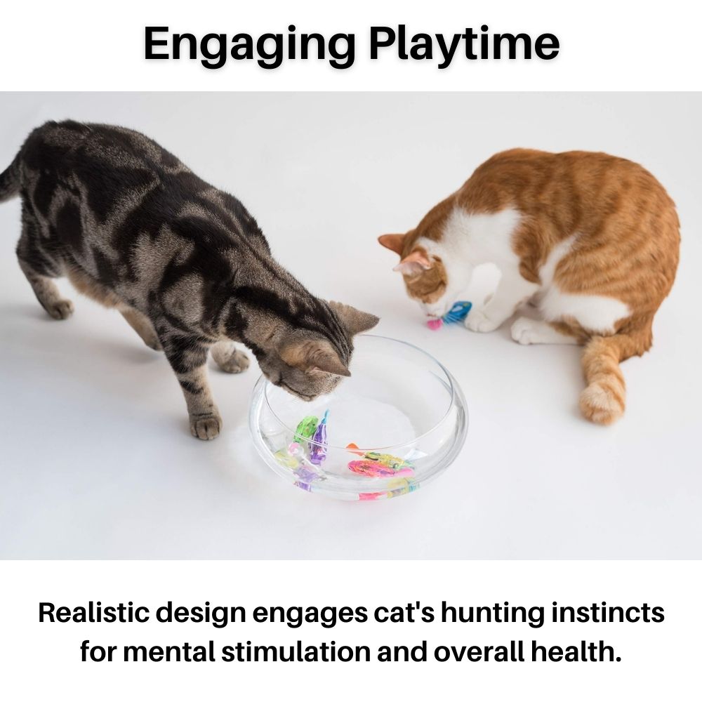 Interactieve Kat Speelgoed Set met Realistische Zwembeweging en Licht – Beste Kat Speelgoed voor Actief Spel