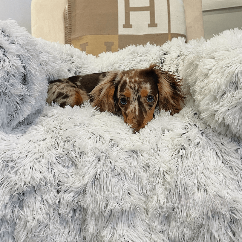 Waterafstotende Hondenbed Bescherming met Zachte Vegan Bont – Antislip, Comfortabel, Geschikt voor Alle Hondenformaten