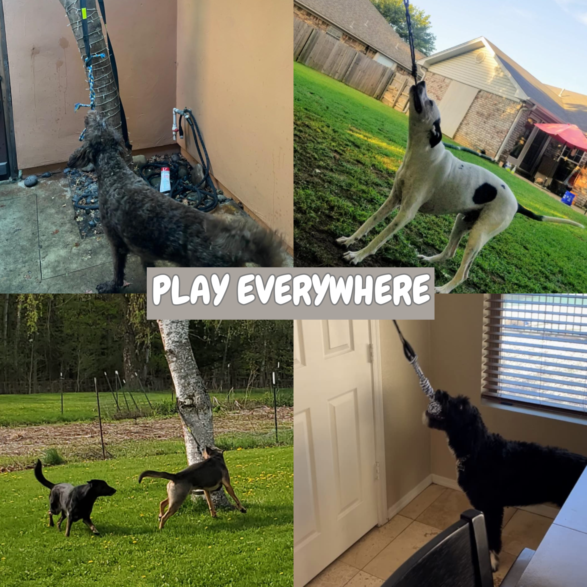 Springball Pro | oneindig springplezier voor je hond