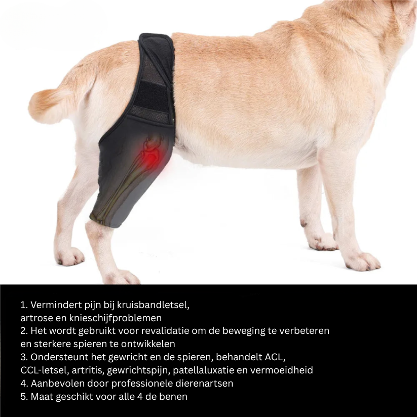 PootVitaal Kniebandage voor Honden – Ondersteuning bij Gewrichtspijn en Revalidatie