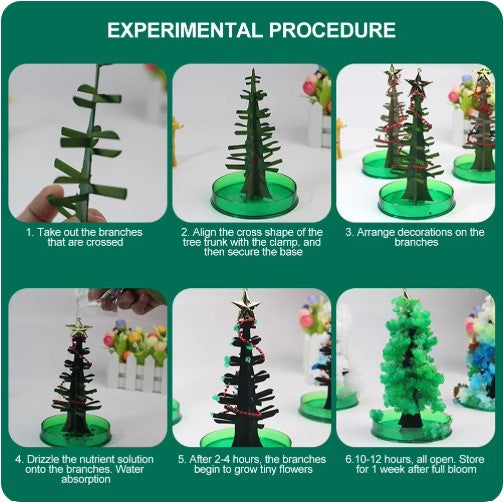 MagicGrow Kerstboom | Zie de magie van Kerstmis ontvouwen