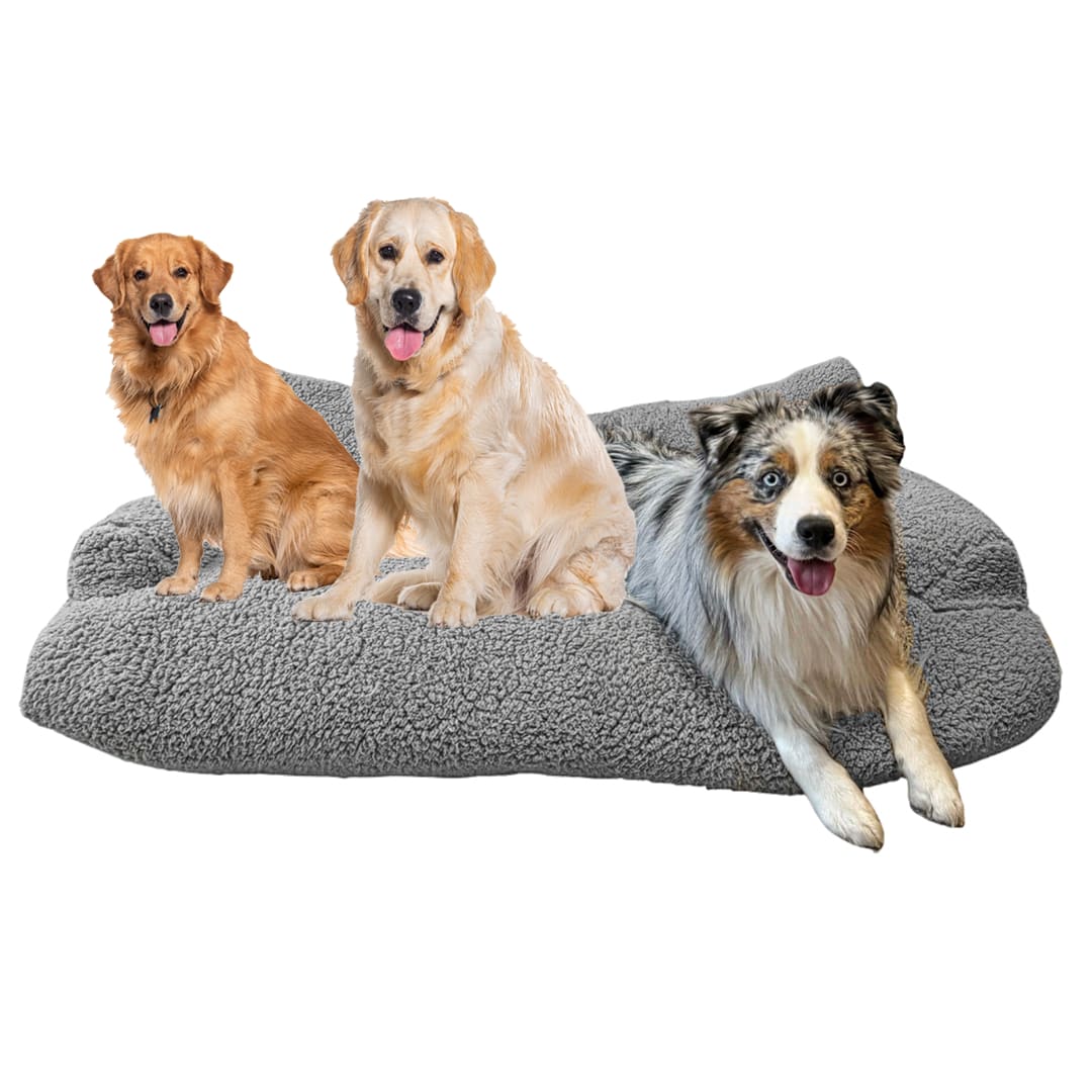 PawComfy | Heerlijke nachtrust voor uw vierpoter