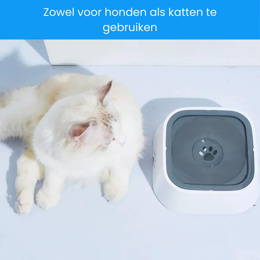 CleanBowl | Dé spatvrije drinkbak voor jouw viervoeter