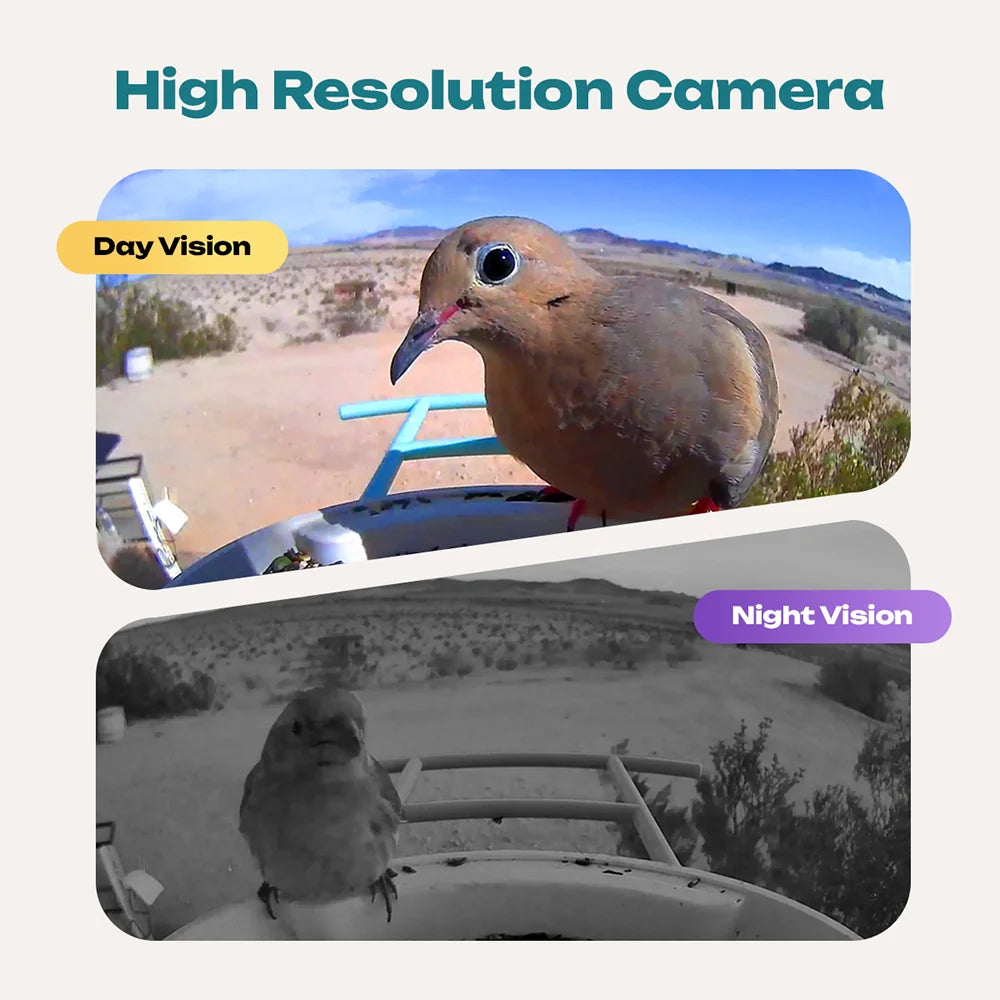 BirdView Smart Feeder | Contact met de natuur als nooit tevoren