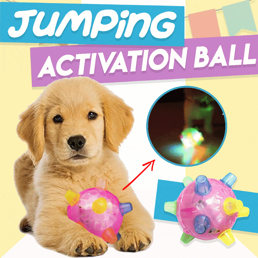 1+1 GRATIS | BounceBuddy – De interactieve springbal voor honden!