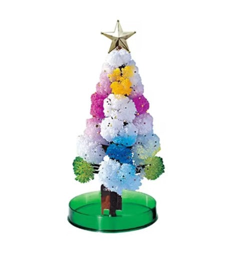 MagicGrow Kerstboom | Zie de magie van Kerstmis ontvouwen