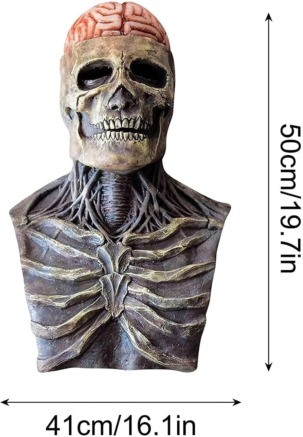 Halloween Skeletmasker met Hersen Detail