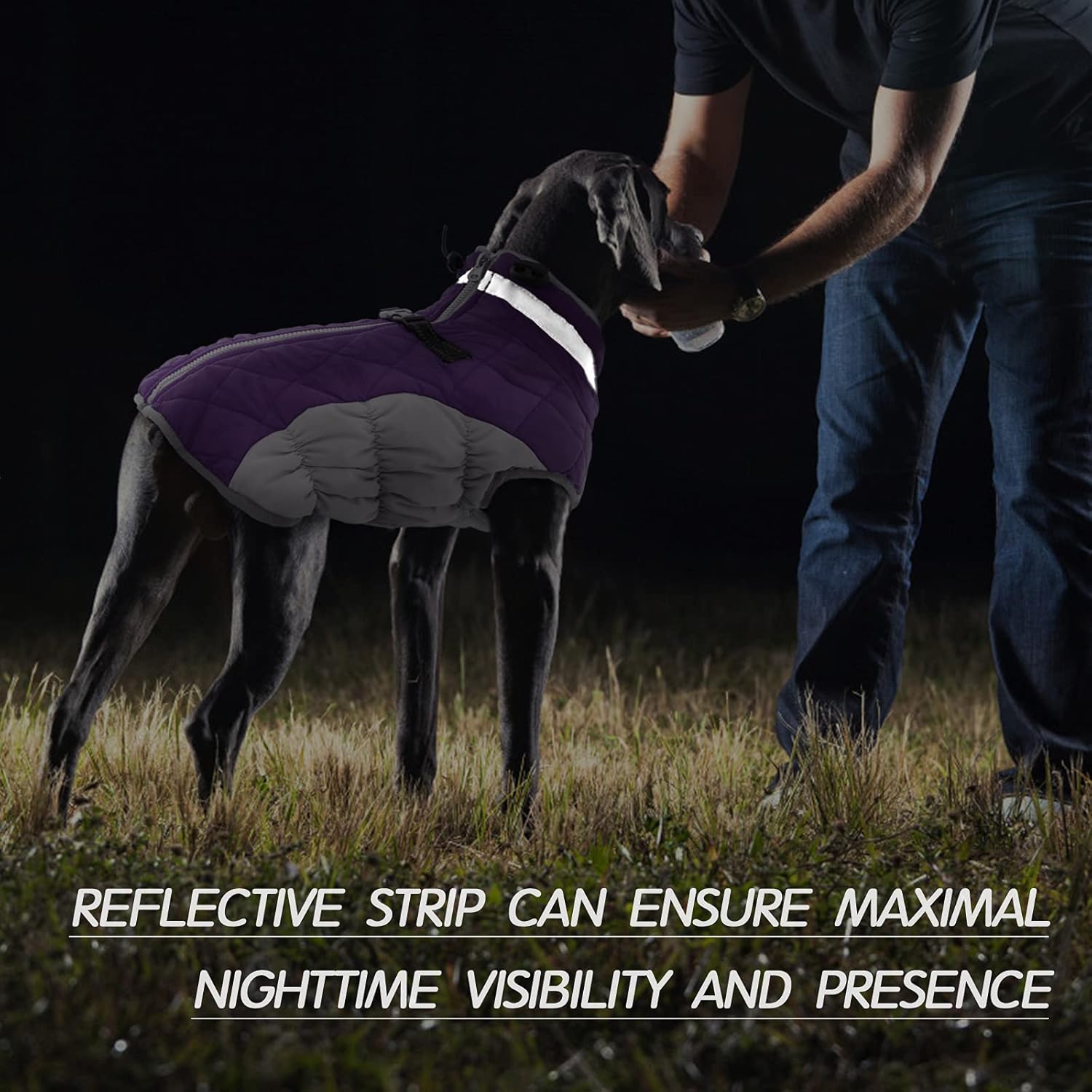 SafeWalk Winterharnas Jas – Waterdichte hondenjas met reflectie en fleecevoering