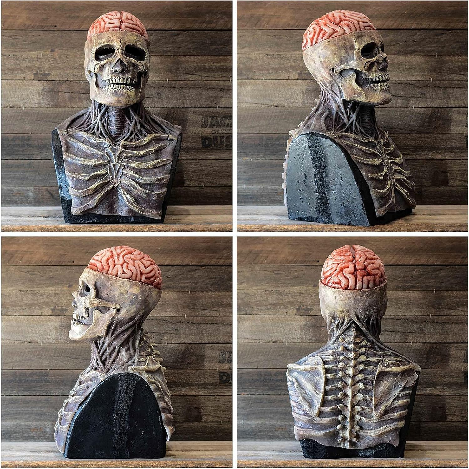 Halloween Skeletmasker met Hersen Detail