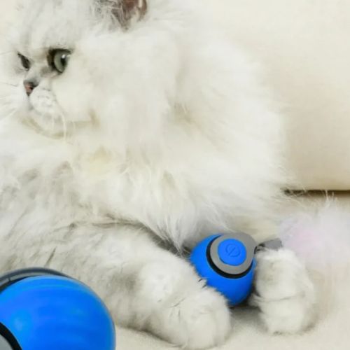 PurrPlay Interactieve Rollende Bal | Slim plezier voor uw harige vrienden