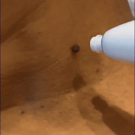 WellnessWave Complete Care Kit | Alles-in-één gezondheidsoplossing voor een vitaal leven