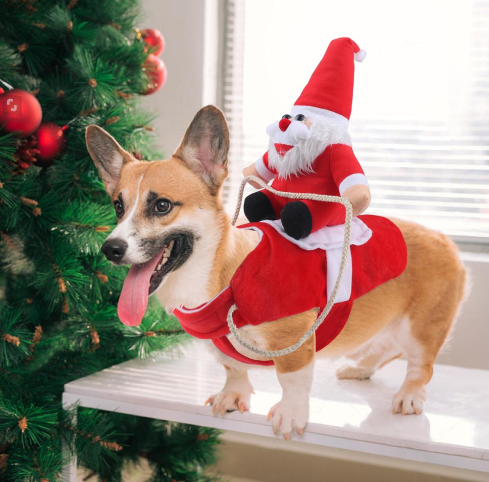 HollyPaws - knus, verstelbaar kerstoutfit voor honden