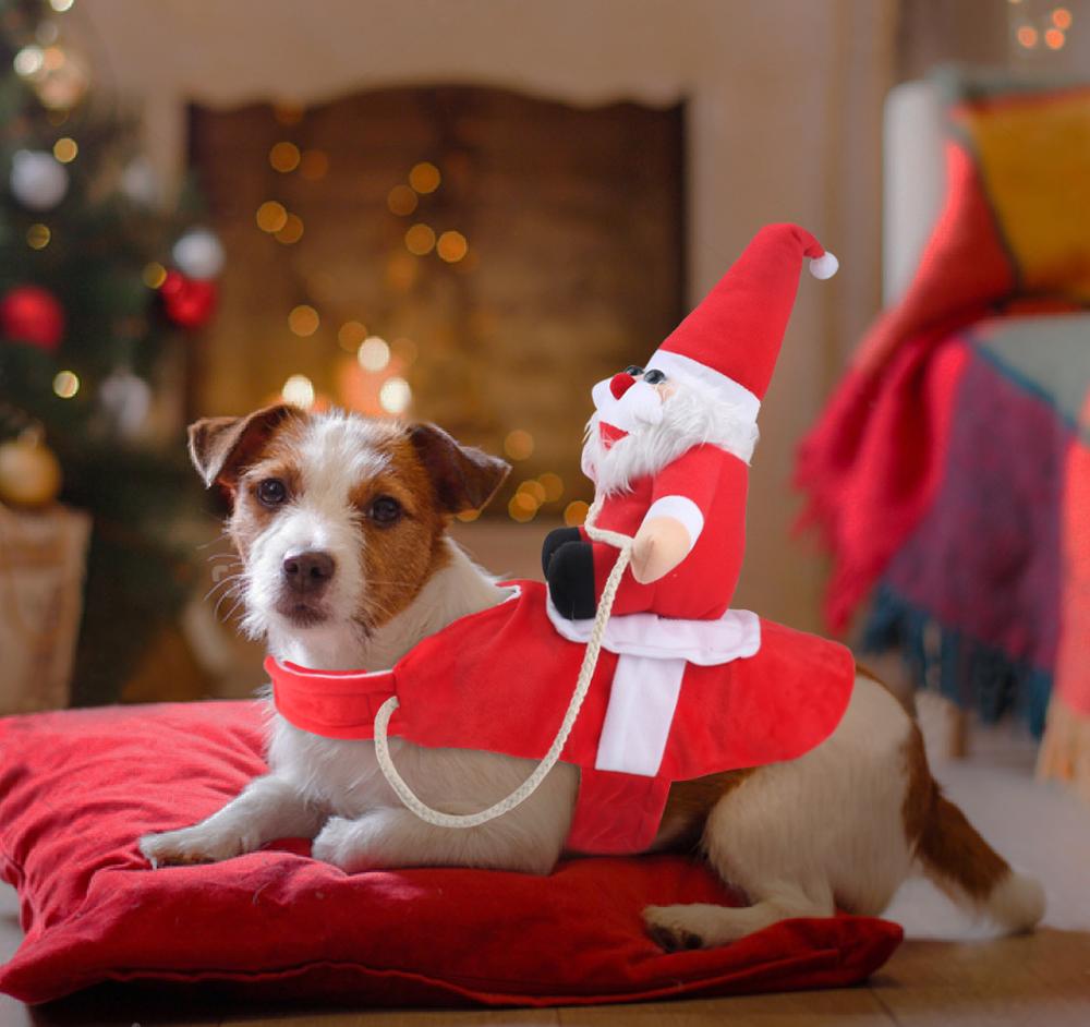 HollyPaws - knus, verstelbaar kerstoutfit voor honden