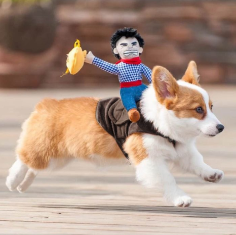 Halloween Cowboy Hond Kostuum Outfit