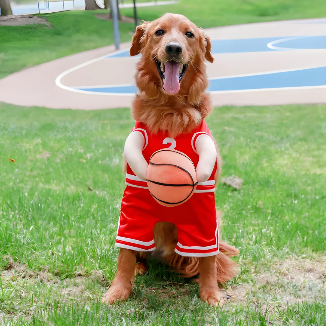 Halloween Hond Kostuum Basketbal Outfit