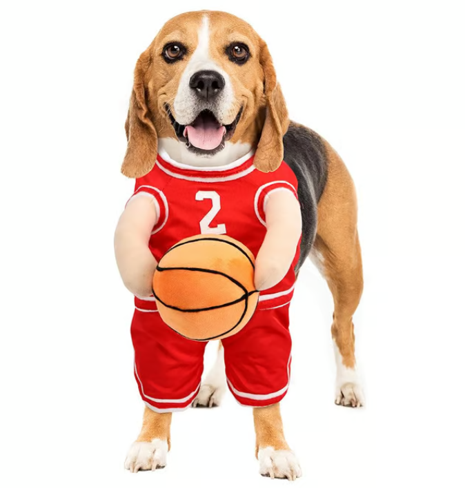 Halloween Hond Kostuum Basketbal Outfit