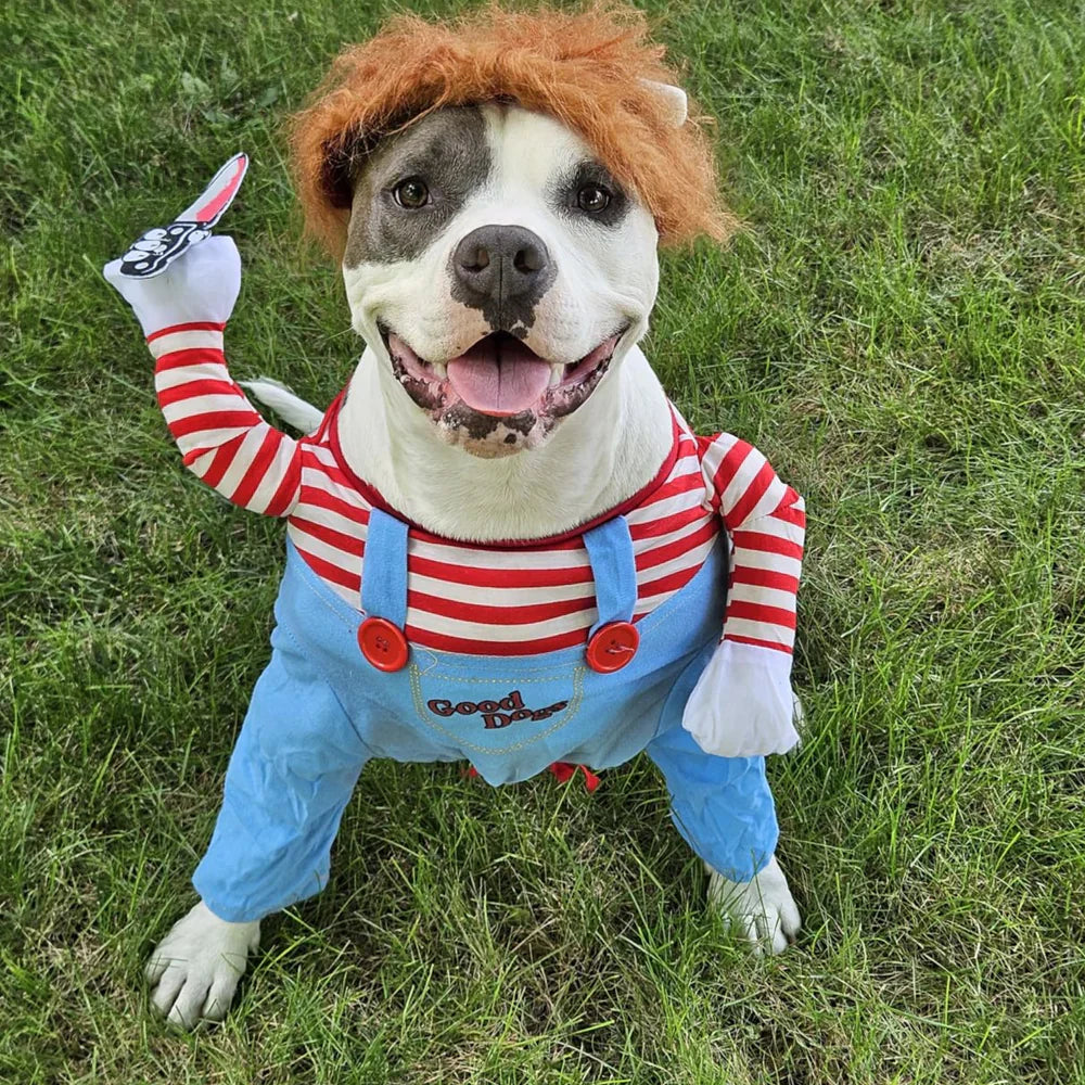 Halloween Hond Kostuum Grappige Huisdier Outfit