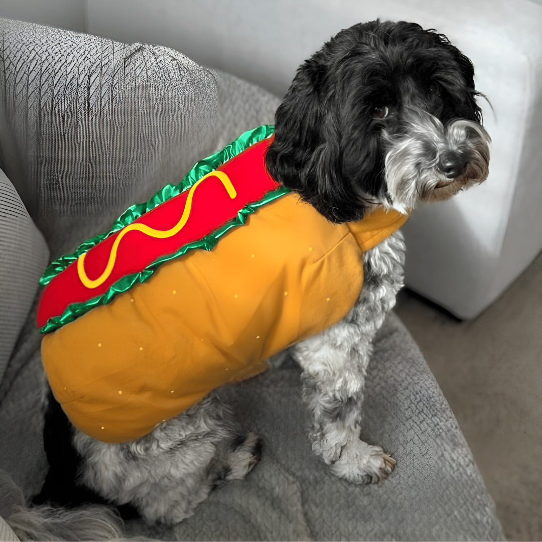 Halloween Hotdog Huisdier Kostuum
