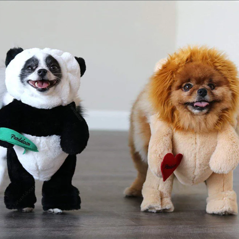 Halloween Panda Hond Kostuum Outfit