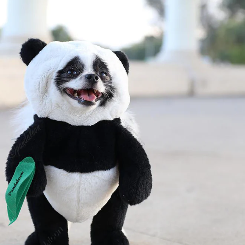 Halloween Panda Hond Kostuum Outfit