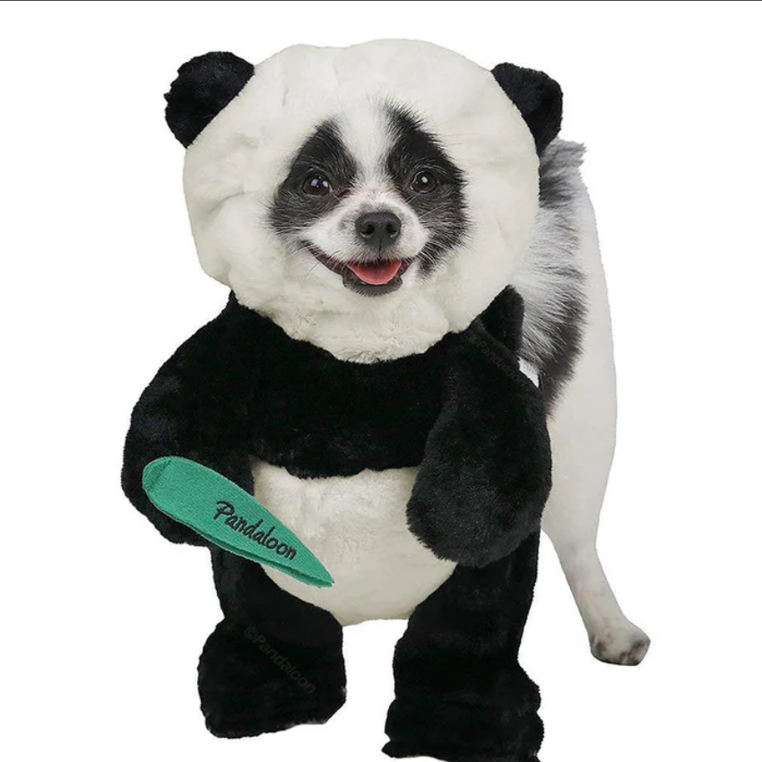 Halloween Panda Hond Kostuum Outfit