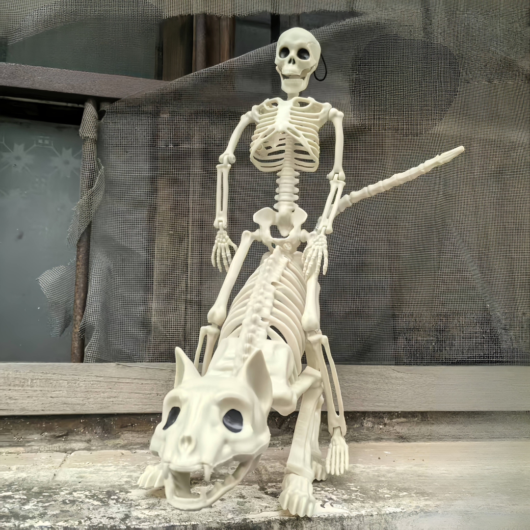 Halloween Skelet Decoratieset 3pcs