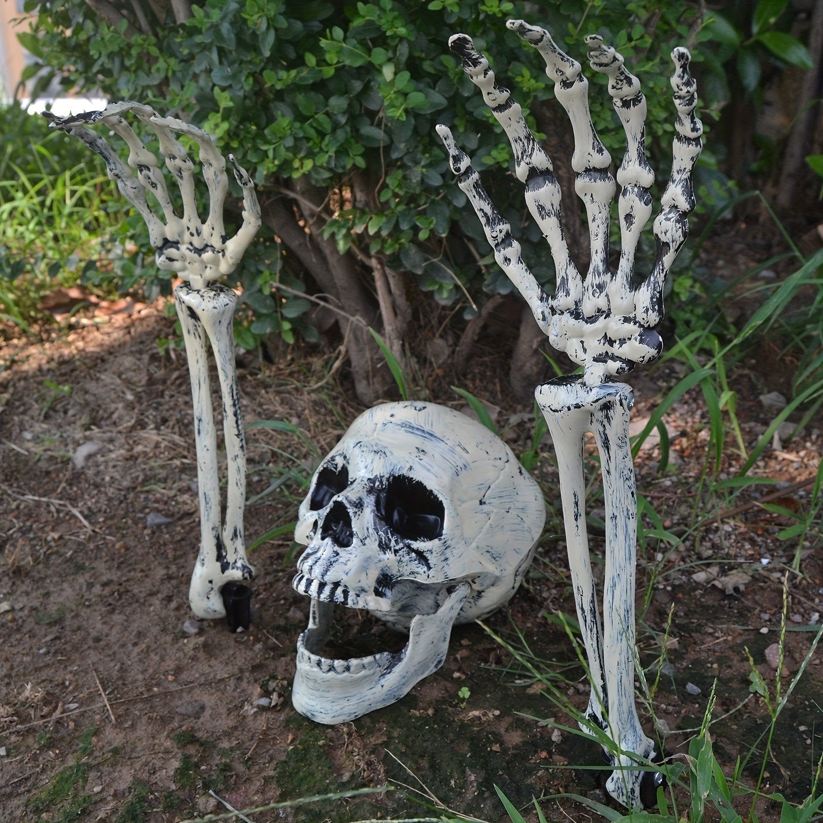 Halloween Schedel Gronddecoratieset