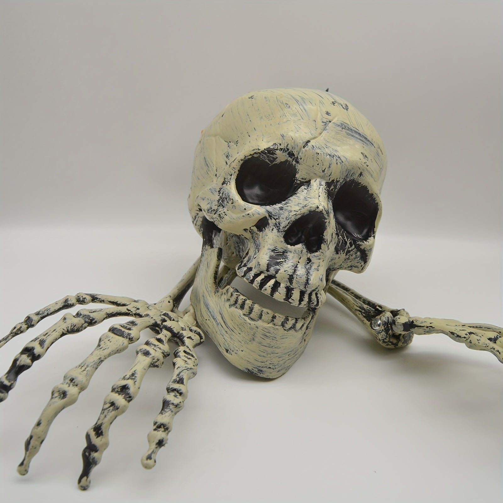 Halloween Schedel Gronddecoratieset