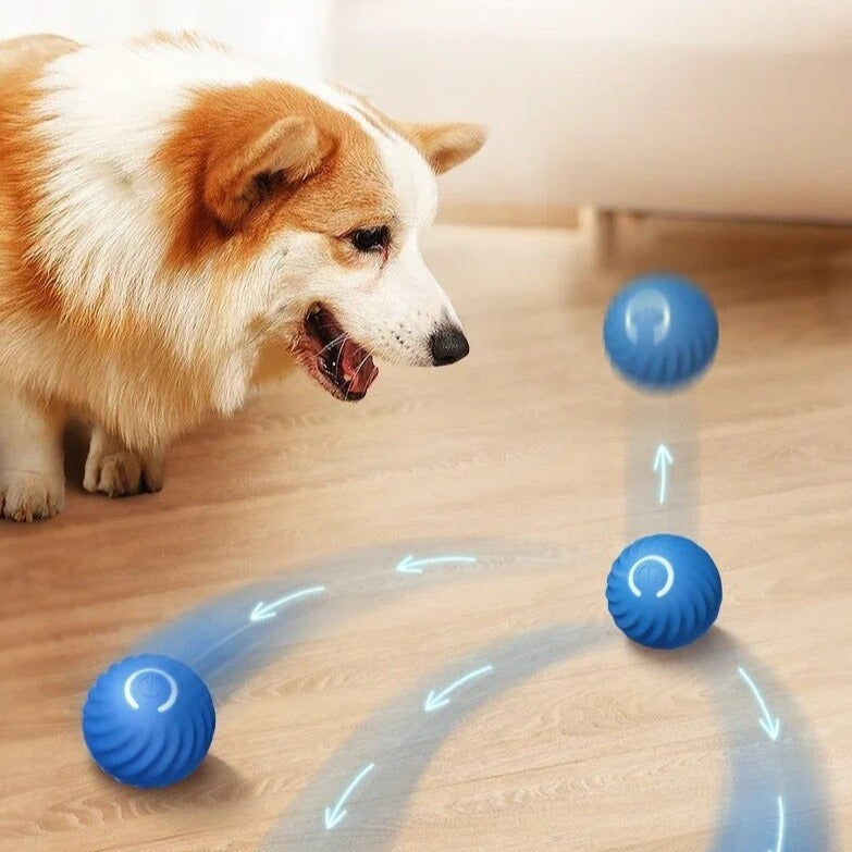 Happly bal | Oneindige speeltijd voor jouw dierenvriend!