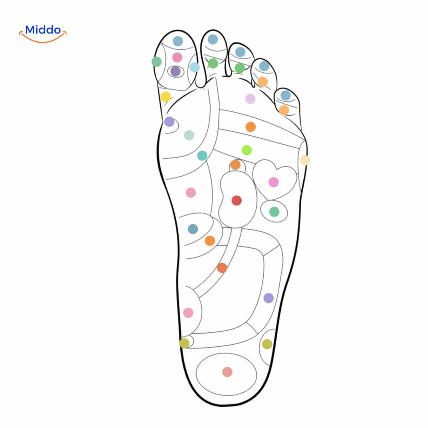 MagneFit Comfort Inlegzolen | Ademende, schokabsorberende zolen voor optimaal draagcomfort