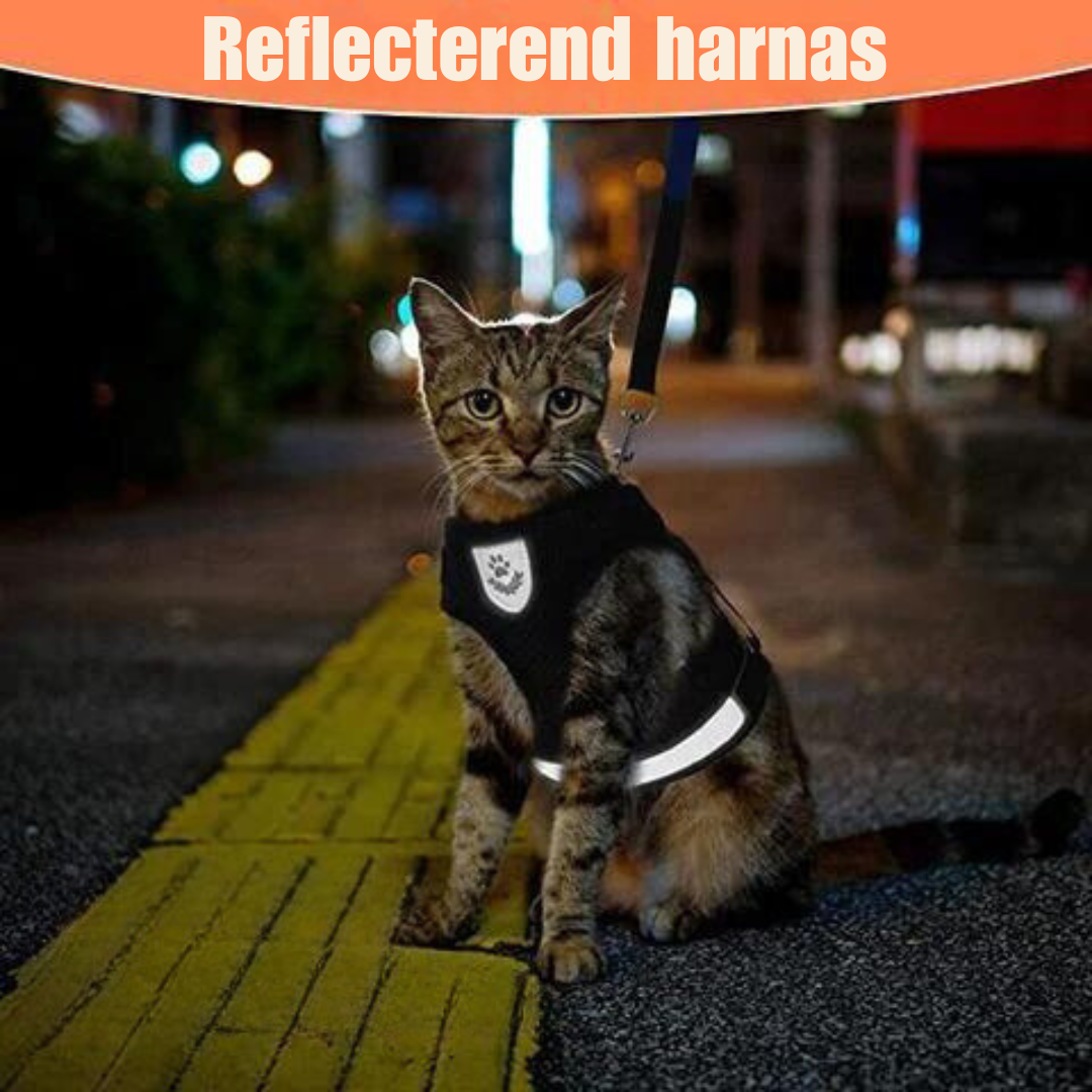 Reflecterende Kat Harnas en Leash Set met Verstelbare Bandjes voor Veilige Nachtavonturen – Comfortabele Pasvorm voor Katten en Kittens