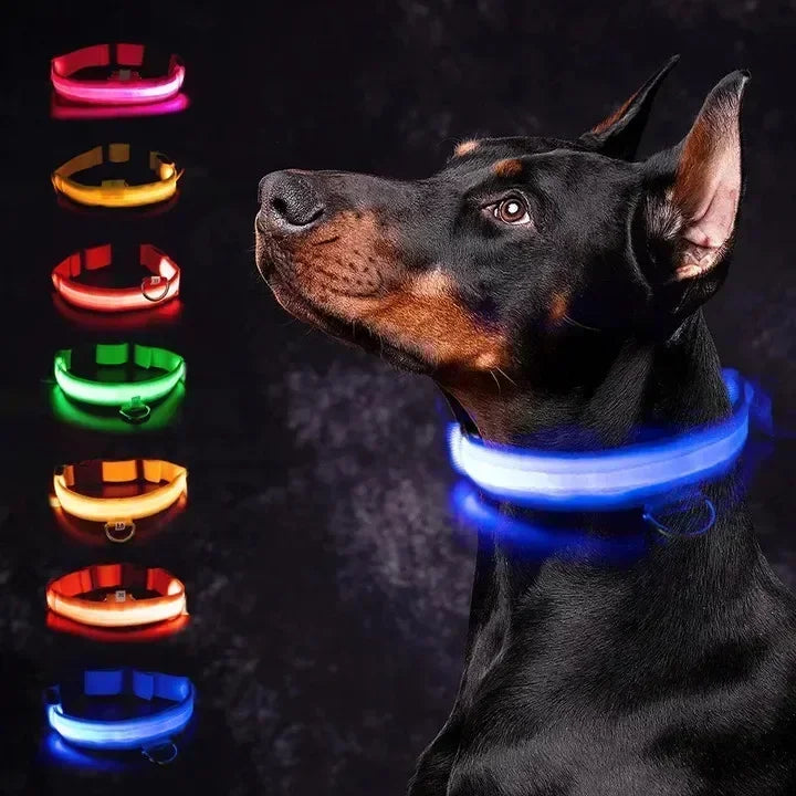 LUXPETS GlowSafe LED Hondenhalsband | Verlicht & Oplaadbaar | Verstelbaar & Waterdicht | Anti-Verlies in de Nacht