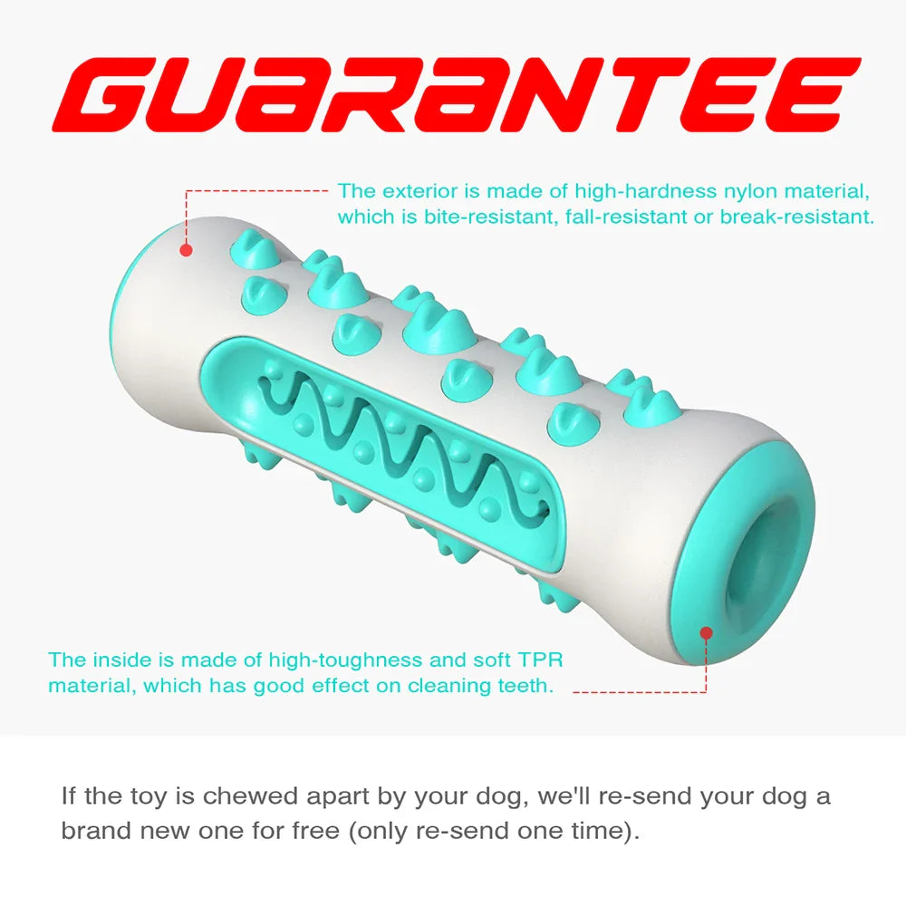 ChewCare Pro Hondenpoetsborstel-Kauwspeeltje | Interactieve Kauwtak voor middelgrote & grote honden | Tandreiniging & Stressvermindering