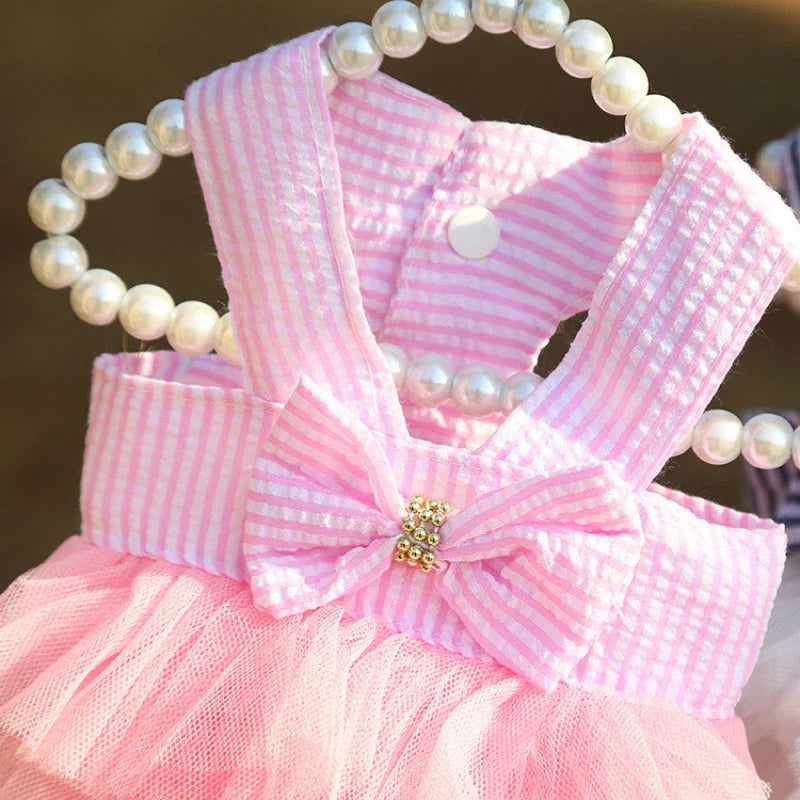 PawBella | Zomerjurk voor Honden & Katten | Luchtig Prinsessenontwerp | Kanten Rok voor Chihuahua & Puppies | XS–XXL