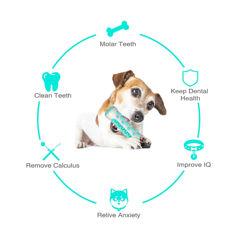 ChewCare Pro Hondenpoetsborstel-Kauwspeeltje | Interactieve Kauwtak voor middelgrote & grote honden | Tandreiniging & Stressvermindering