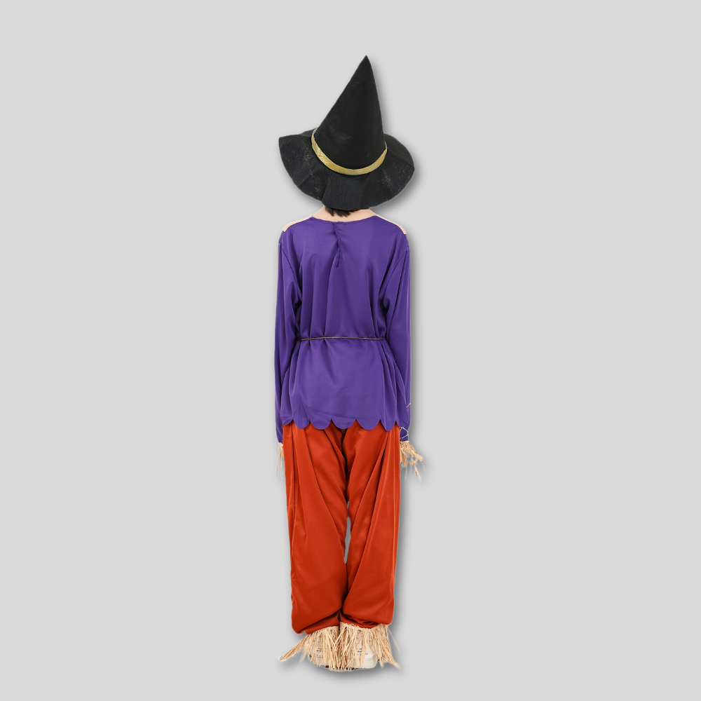 Halloween Kostuum Vogelverschrikker Jongens Paarse Top Broek