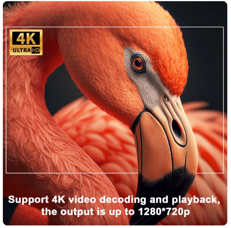 CinemaGo Projector | Jouw openlucht filmervaring