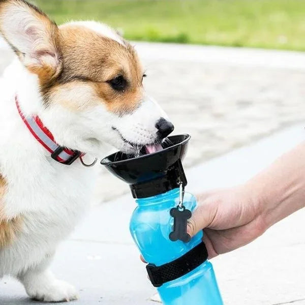 Honden Drinkfles HydroPaws | 2-in-1 met Kom | Lekvrij & Draagbaar | 500ml | Blauw, Roze, Grijs