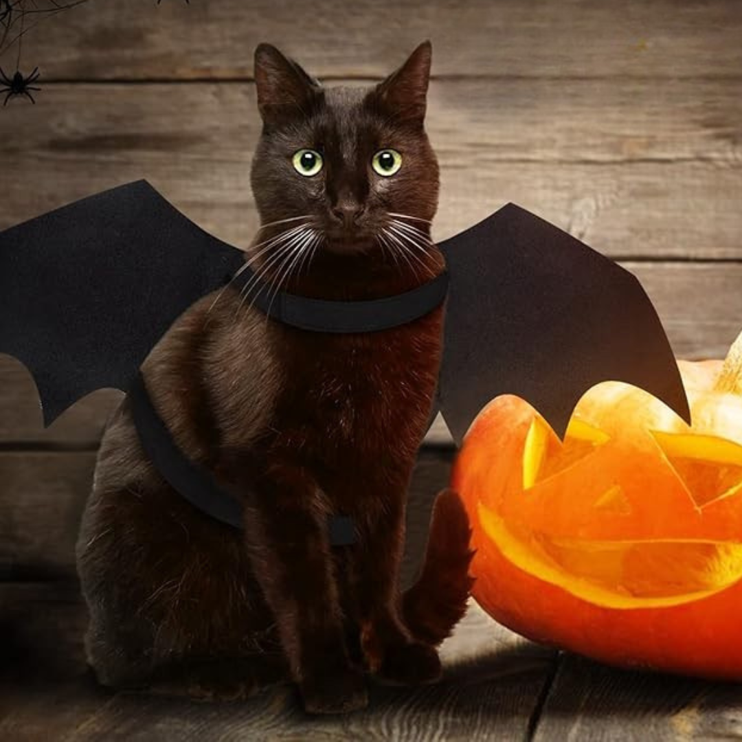 Spooky Halloween Huisdieren Vleermuis Vleugels