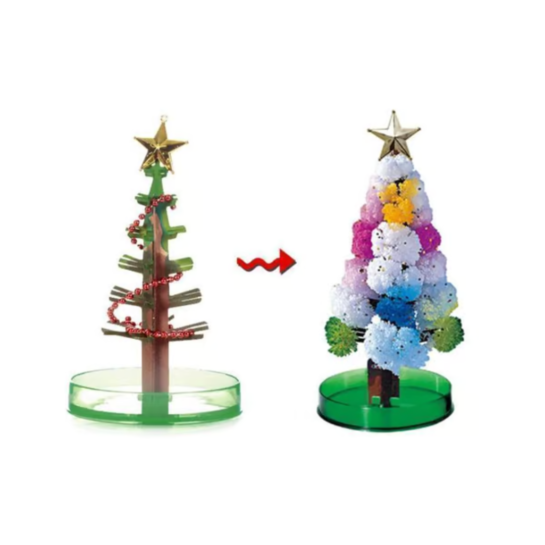 MagicGrow Kerstboom | Zie de magie van Kerstmis ontvouwen