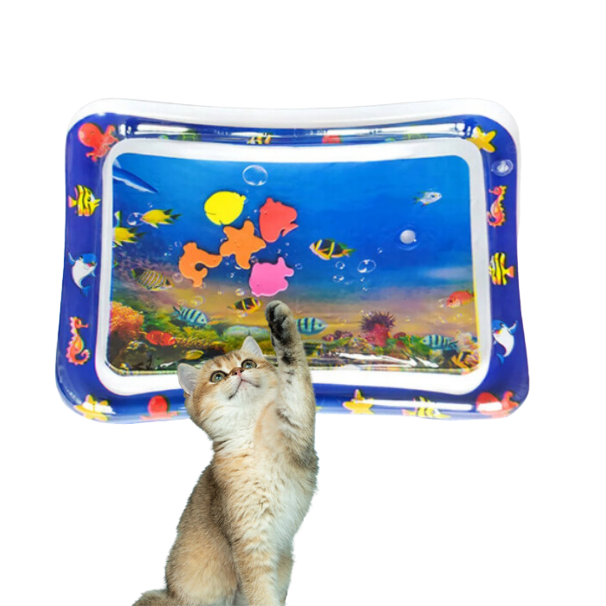 PurrSplash Speelmat | Ultiem waterplezier voor katten