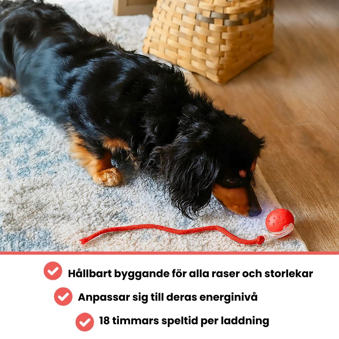 PawTail | Speedy Tail Hondenjas Lichtgewicht Waterdicht Ademend