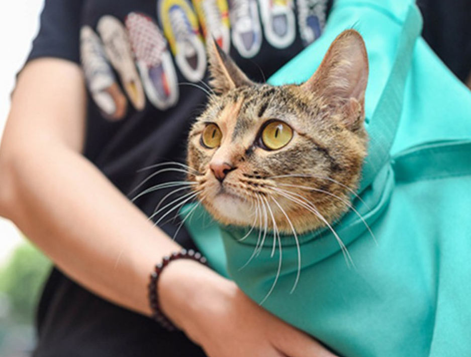 PurrfectTravel | Verzorgingstas en Reistas