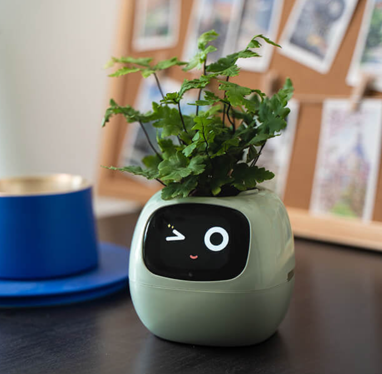 EmojiPlant | Creatieve Emoji Bloempot