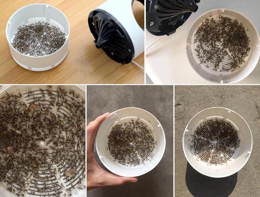 Elektrische anti-muggen - Verwijder insecten - Gezinsveiligheid